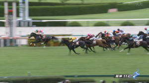 【セントウルスS】安田調教師がアグリに騎乗した横山典弘を絶賛！「最高の競馬をしてくれました」