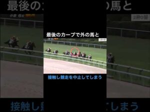 最後の直線で外に接触し、他の競走馬に影響を与えてしまう #ウマ娘 #競馬 #horseracing
