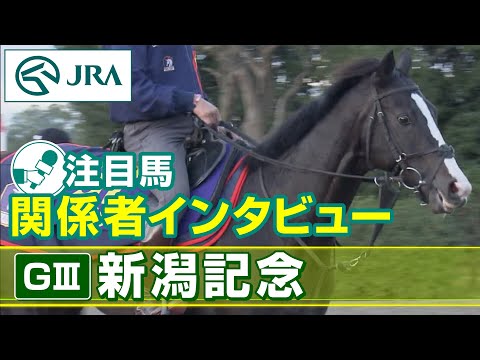 【注目馬 関係者インタビュー】2023年 新潟記念｜JRA公式