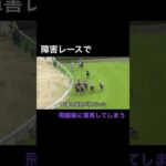障害レースで飛越後に着地に失敗し落馬してしまう