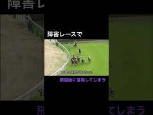 障害レースで飛越後に着地に失敗し落馬してしまう