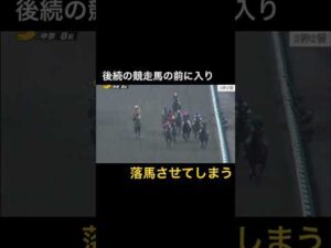 競走馬の前に入ってしまい、後続馬を落馬させてしまう