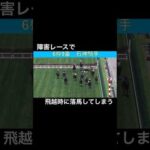 障害レースで飛越時に落馬してしまう #horseracing #競馬