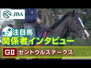 【注目馬 関係者インタビュー】2023年 セントウルステークス｜JRA公式