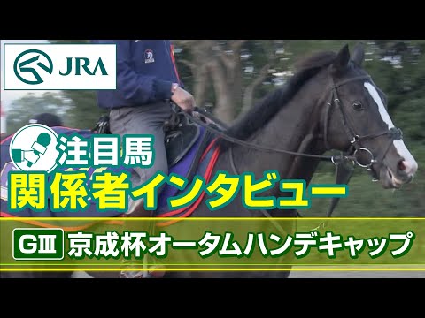 【注目馬 関係者インタビュー】2023年 京成杯オータムハンデキャップ｜JRA公式