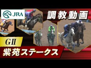 【調教動画】2023年 紫苑ステークス｜JRA公式