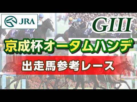 【参考レース】2023年 京成杯オータムハンデキャップ｜JRA公式