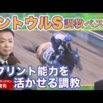 「追い切りを見た瞬間に決めた!」競馬エイト・高橋賢司トラックマンの調教解説<セントウルステークス(GⅡ)>