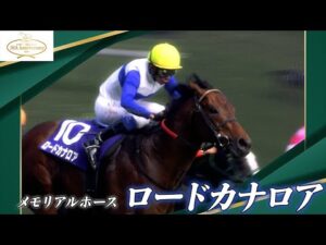【思い出の名馬】ロードカナロア　～2013：年度代表馬～ | JRA公式