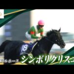 【思い出の名馬】シンボリクリスエス ~2003:年度代表馬~ | JRA公式