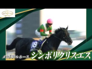【思い出の名馬】シンボリクリスエス　～2003：年度代表馬～ | JRA公式