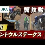 【調教動画】2023年 セントウルステークス|JRA公式