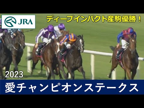 【ディープインパクト産駒優勝】2023愛チャンピオンステークス（G1）| オーギュストロダン | JRA公式