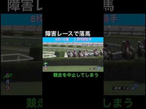障害レースで落馬事故 競走を中止してしまう #horseracing #競馬