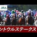 2023年 セントウルステークス(GⅡ) | 第37回 | JRA公式