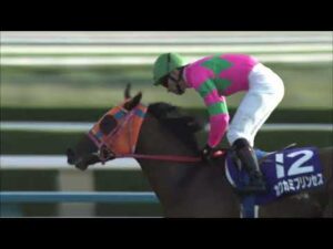 【ありがとう カワカミプリンセス】2006年 秋華賞（ＧⅠ）