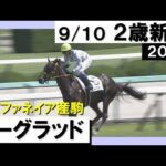 《2023年新馬》武豊騎手「強い内容」ビーグラッドが2馬身半差の快勝! 実況:川島壮雄【カンテレ公式】