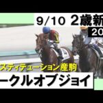 《2023年新馬》母はアメリカGⅠ馬・サークルオブジョイが鮮やかな差し切り勝ち! 実況:石田一洋【カンテレ公式】