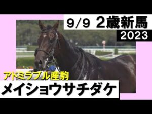 《2023年新馬》メイショウサチダケが直線で二枚腰を発揮！3馬身差の圧勝　実況：川島壮雄【カンテレ公式】2023年新馬戦