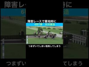 障害レースで着地時につまずいてしまい落馬してしまいます