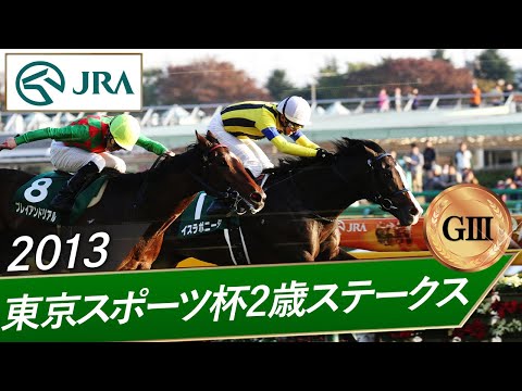 2013年 東京スポーツ杯2歳ステークス（GⅢ） | イスラボニータ | JRA公式
