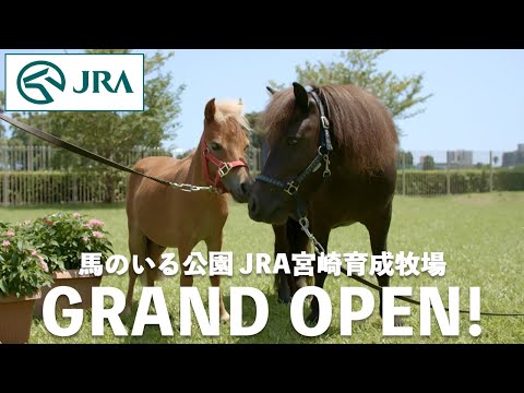 グランドオープンCM　JRA宮崎育成牧場/ウインズ宮崎 | JRA公式