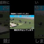 飛越時につまずいてしまい、競走を中止してしまう #horseracing #競馬