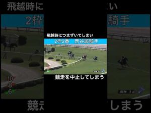 飛越時につまずいてしまい、競走を中止してしまう #horseracing #競馬