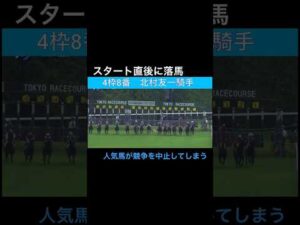 スタート直後に落馬、人気馬が競走を中止してしまう