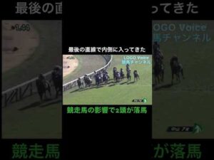 内側に入ってきた競走馬の影響で、2頭が落馬してしまう