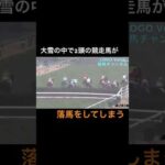 大雪の中で、2棟の競走馬が落馬してしまう