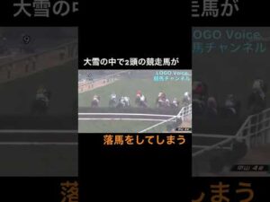 大雪の中で、2棟の競走馬が落馬してしまう