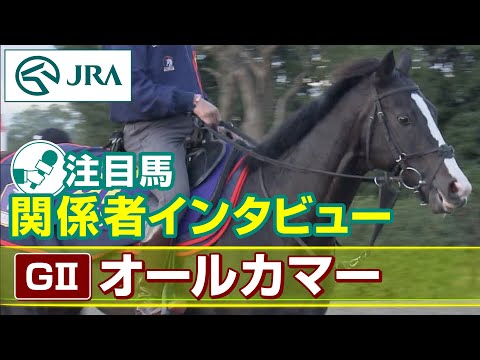 【注目馬 関係者インタビュー】2023年 オールカマー｜JRA公式