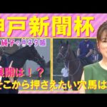 【「前走は度外視で良い!」○○厩舎らしい馬体に変化】神戸新聞杯(GⅡ)を元ジョッキーの細江純子さんが徹底解説!<細江純子のネタ帳>