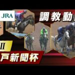 【調教動画】2023年 神戸新聞杯|JRA公式