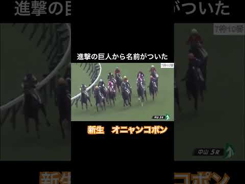 【進撃の巨人⁉︎】オニャンコポンが爆走する！