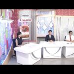 ダート競馬JAPAN|第17回 白山大賞典 日本テレビ盃 OROカップ 展望|NAR公式