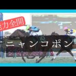 【オニャンコポン】ルメール記者が太鼓判まだまだ可能性を感じすぎる能力馬