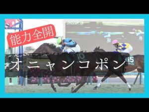 【オニャンコポン】ルメール記者が太鼓判まだまだ可能性を感じすぎる能力馬