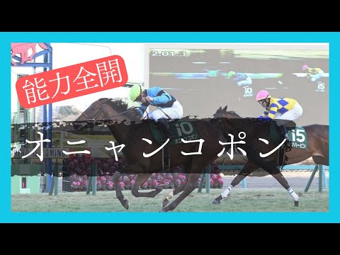 【オニャンコポン】ルメール記者が太鼓判まだまだ可能性を感じすぎる能力馬