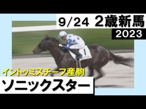 《2023年新馬》１番人気のソニックスターが３馬身半差の快勝！　実況：石田一洋【カンテレ公式】