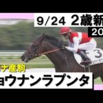 《2023年新馬》鮫島克駿「大物感ある」リスグラシューの初子ら相手に差し切り勝ち! 実況:川島壮雄【カンテレ公式】