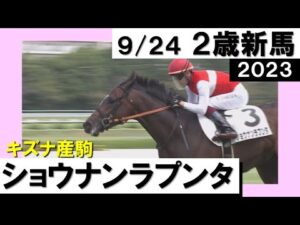 《2023年新馬》鮫島克駿「大物感ある」リスグラシューの初子ら相手に差し切り勝ち！　実況：川島壮雄【カンテレ公式】