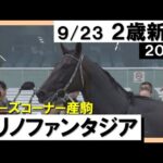 《2023年新馬》河原田菜々「他の馬とは違いました」クリノファンタジア8馬身差で圧勝! 実況:川島壮雄【カンテレ公式】