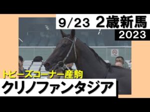 《2023年新馬》河原田菜々「他の馬とは違いました」クリノファンタジア８馬身差で圧勝！　実況：川島壮雄【カンテレ公式】
