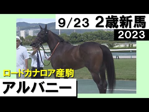 《2023年新馬》抜群の瞬発力でなで切り！良血馬アルバニーが初陣V！　実況：岡安譲【カンテレ公式】