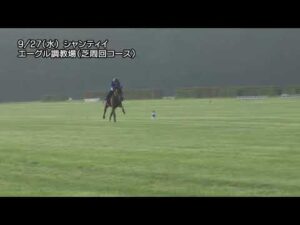【2023凱旋門賞】スルーセブンシーズ  最終追い切り 9月27日（水曜） | JRA公式