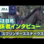 【注目馬 関係者インタビュー】2023年 スプリンターズステークス|JRA公式