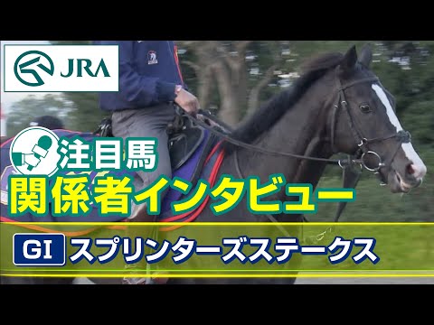 【注目馬 関係者インタビュー】2023年 スプリンターズステークス｜JRA公式