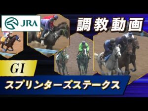 【調教動画】2023年 スプリンターズステークス｜JRA公式